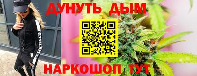 стаф Можга