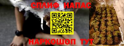 стаф Можга