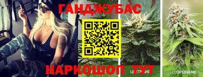 стаф Можга