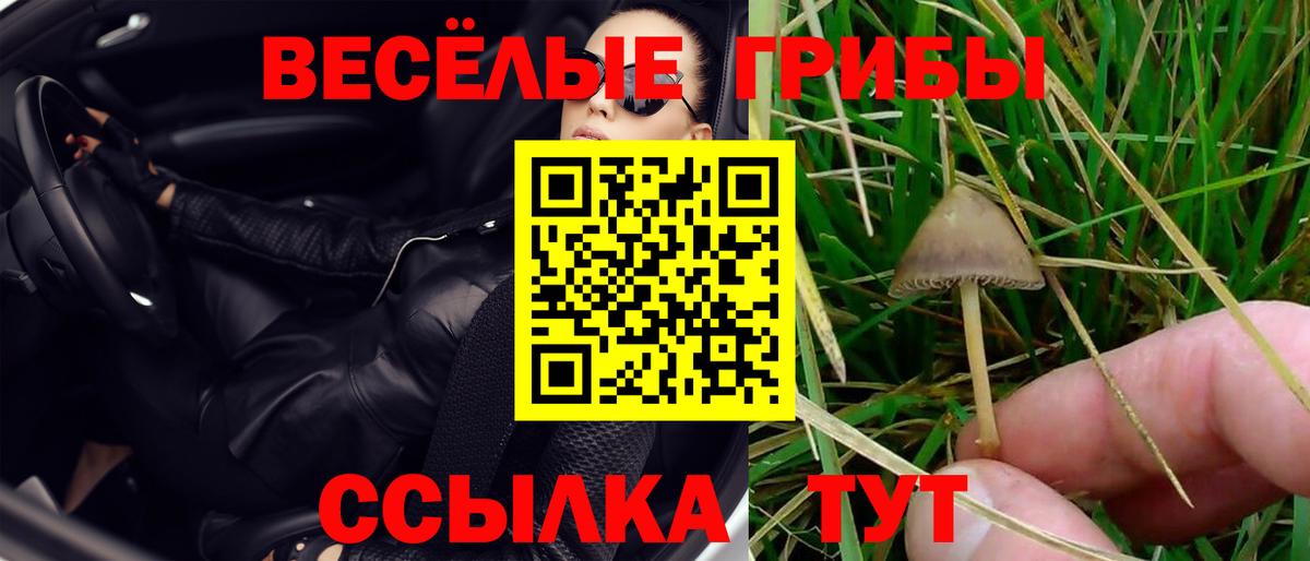 Владикавказ  купить наркоту  Вход с VPN  Псилоцибиновые грибы ЛСД 